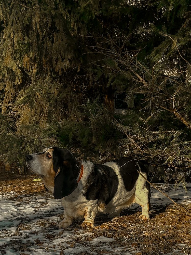 Photograph by Yulia Kotova