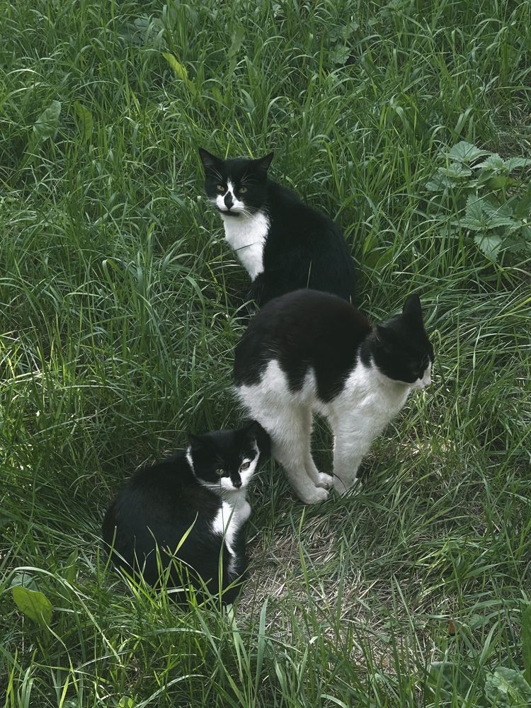 Photograph by Yulia Kotova