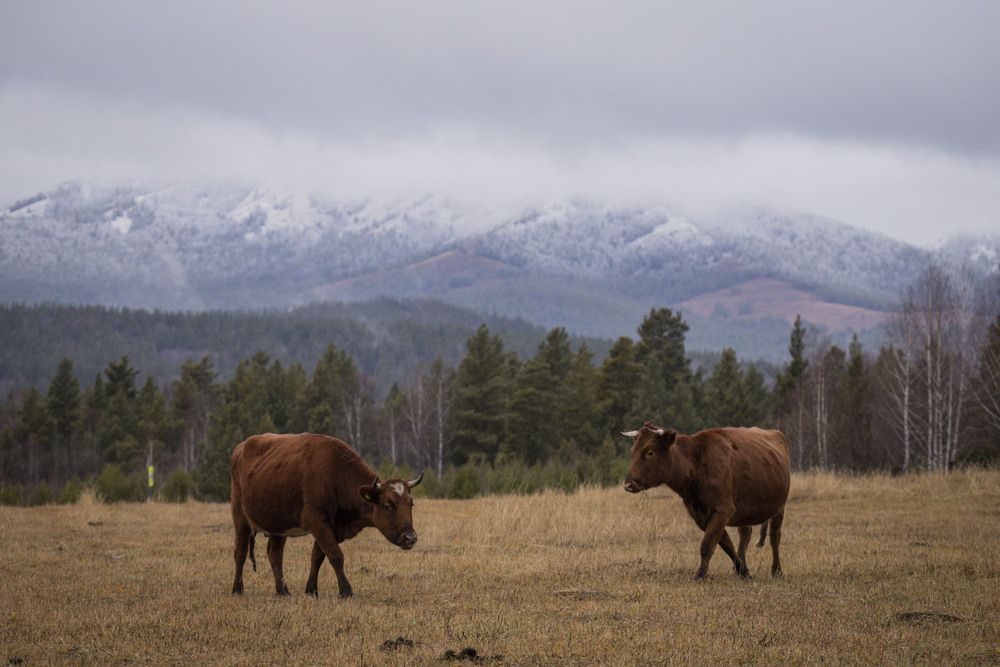 Photograph by Елена Перминова