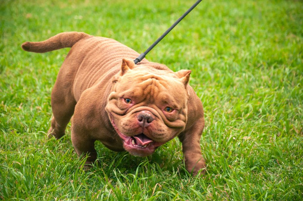 Photograph by Ernesto Alejandro Díaz