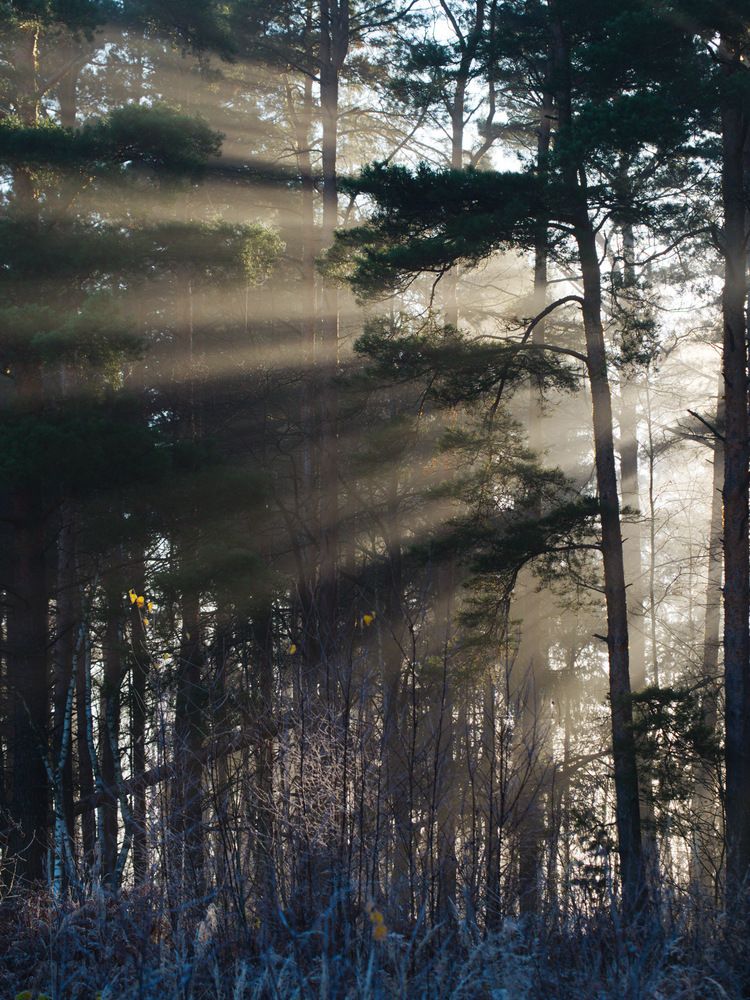 Photograph by Поляков Алексей