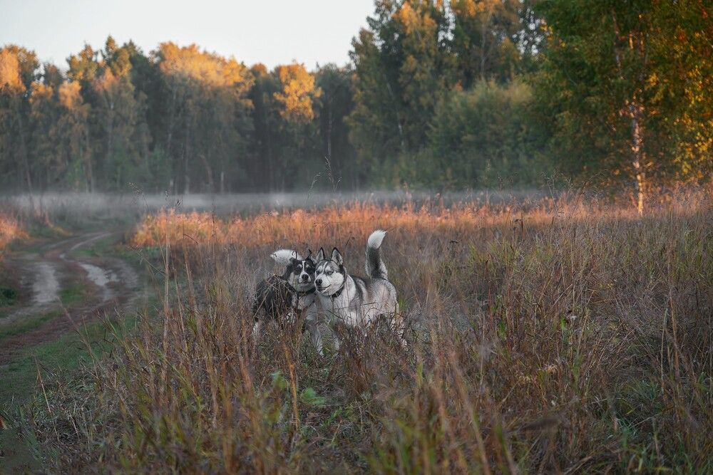 Photograph by Ольга Ченцова