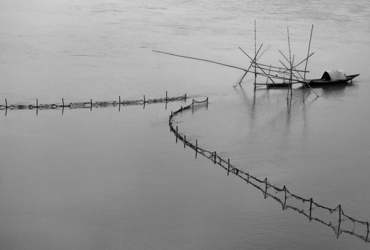 Lost in the Currents