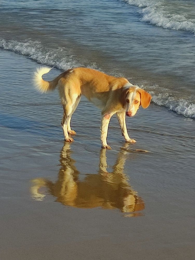 Photograph by Marina Podlesnaya