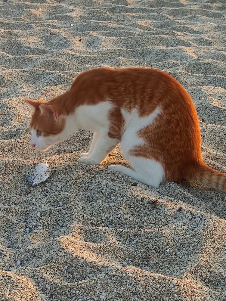 Photograph by Marina Podlesnaya