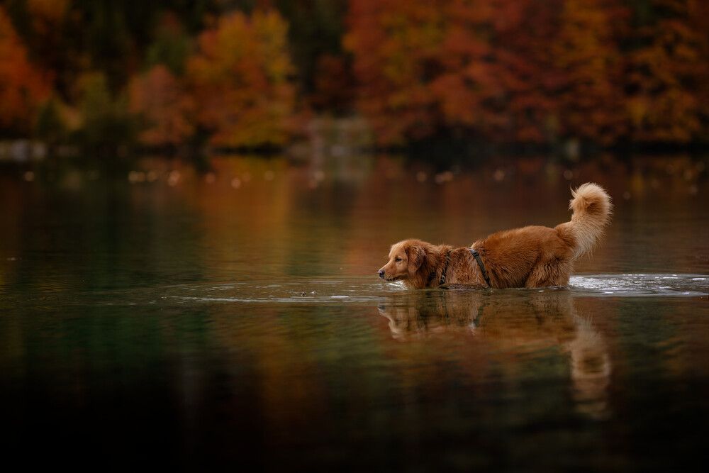 Photograph by Maja Esch