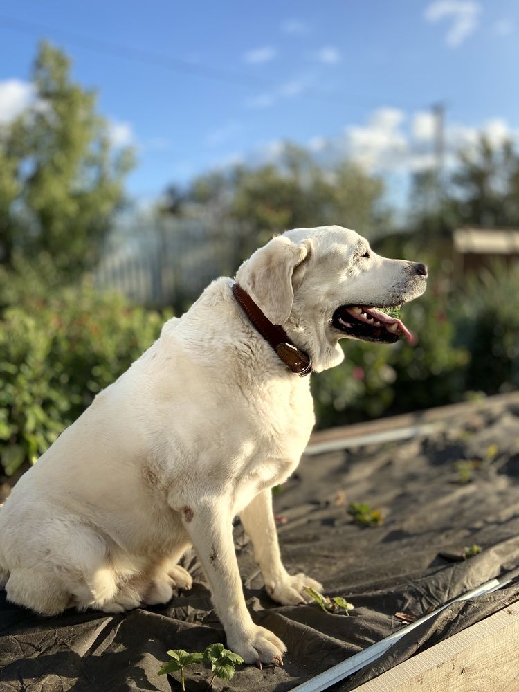 Photograph by Наталья Душакова