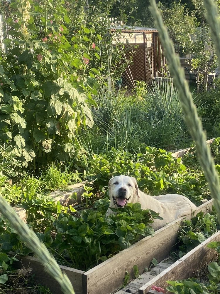 Photograph by Наталья Душакова