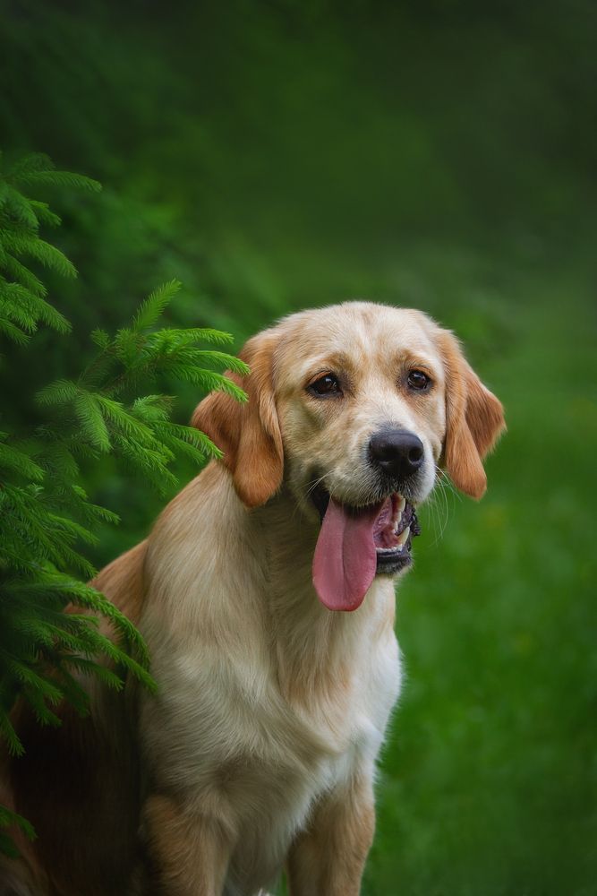 Photograph by Эльнара Исаева
