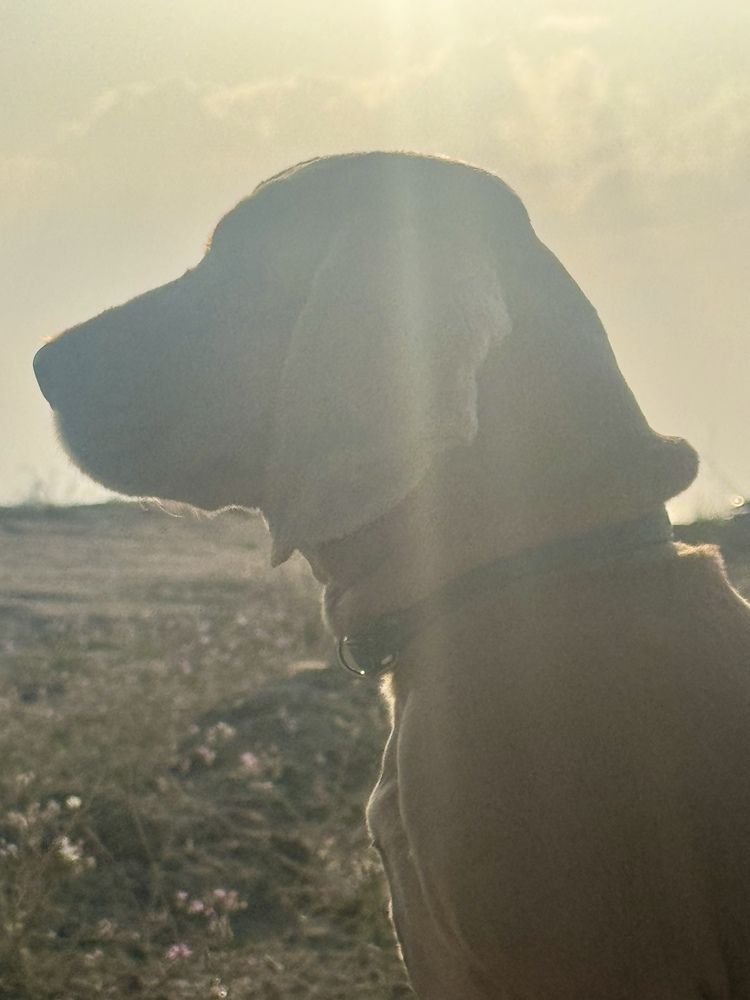 Photograph by Родионова Ксения