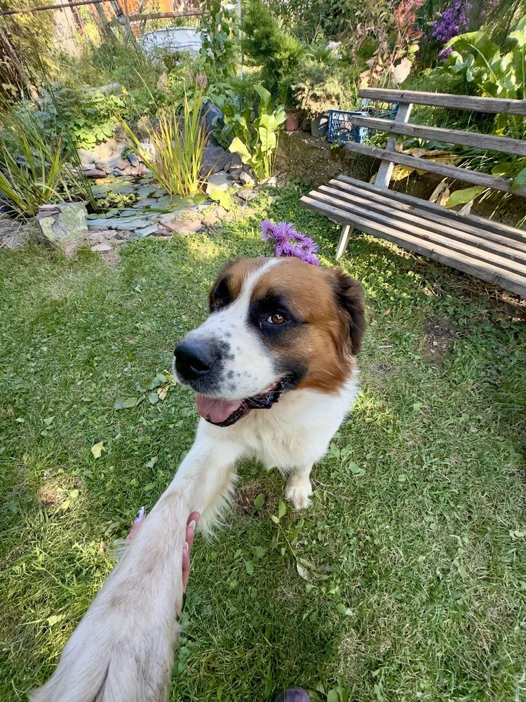 Photograph by Родионова Ксения