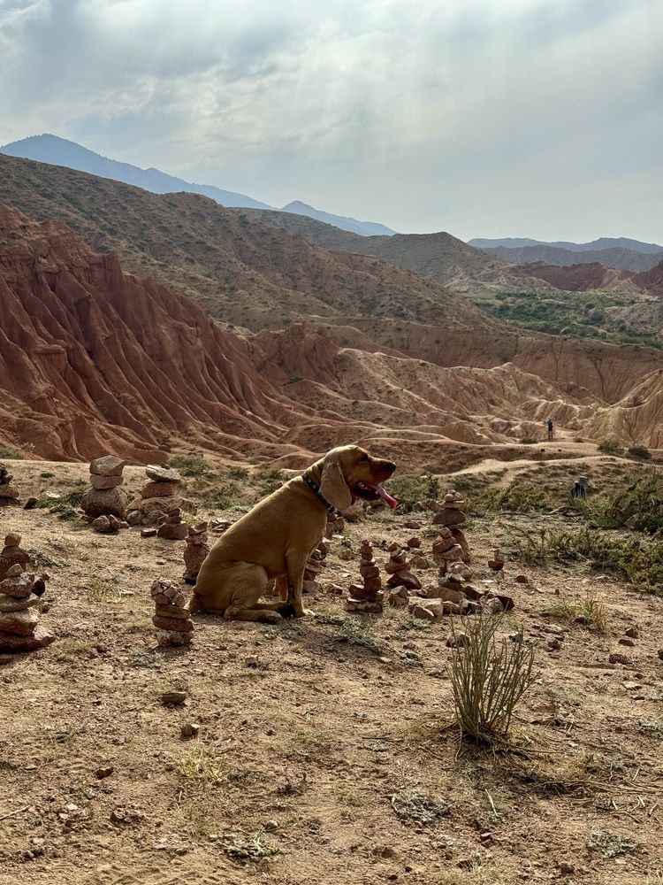 Photograph by Родионова Ксения