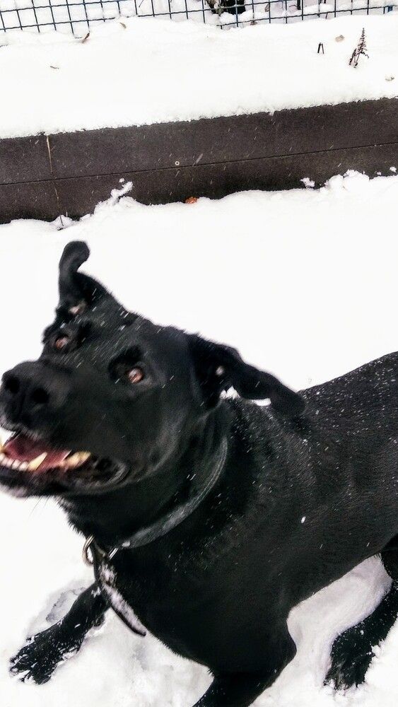 Фотография автора Jindřiška Kučerová