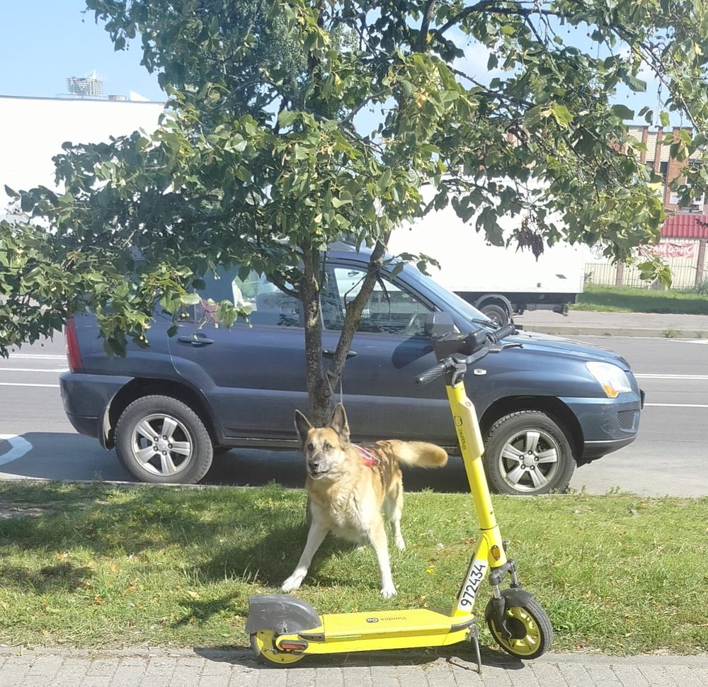 Фотография автора Наталья Драгун