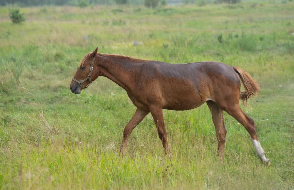 Photograph by Сергей Хранитель