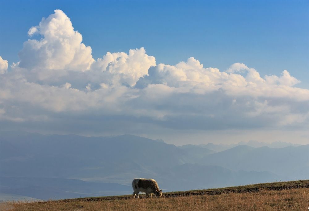 Photograph by Литвинов Александр