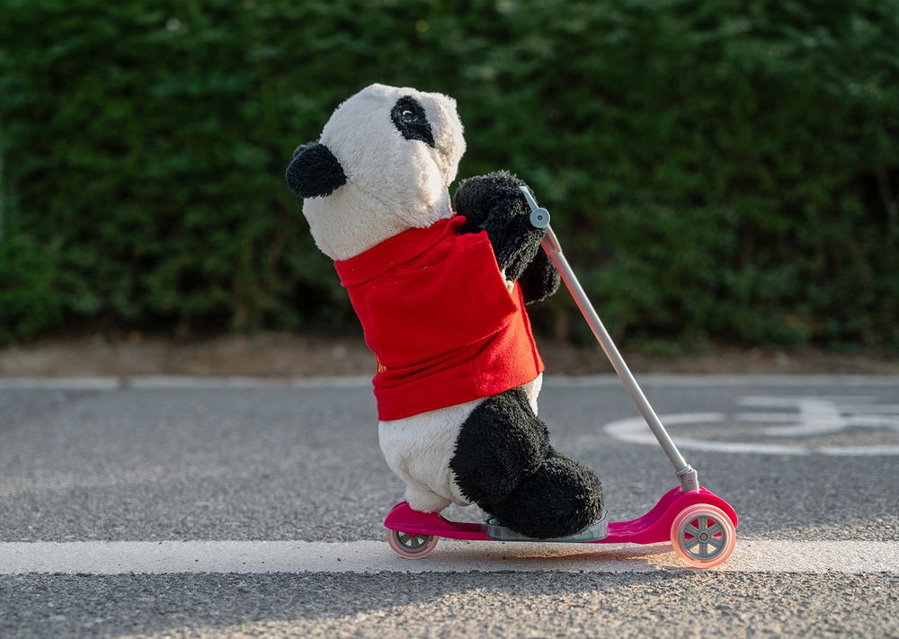 Photograph by Oxana Berezovskaya