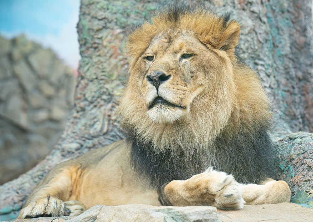 Photograph by Сергей Хранитель