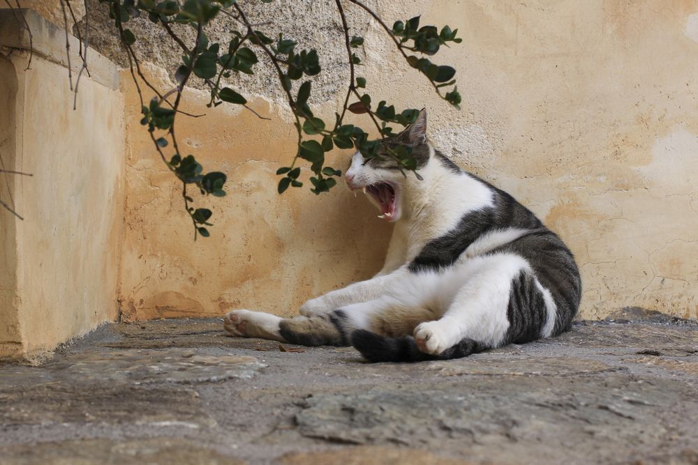 Photograph by Максим Мураков