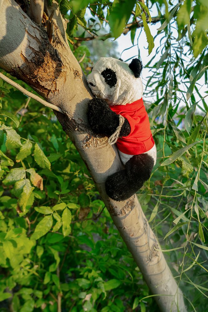 Photograph by Oxana Berezovskaya