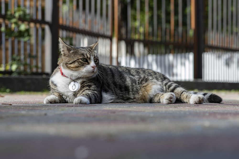 Photograph by Максим Мураков