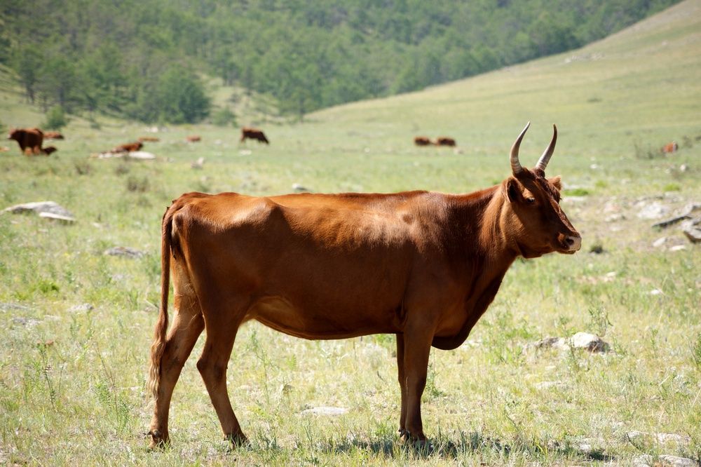 Photograph by Anna Dalinger