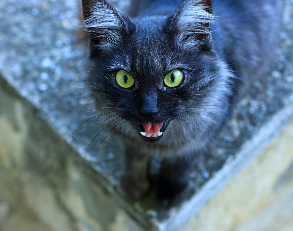 Photograph by Игорь Куленко