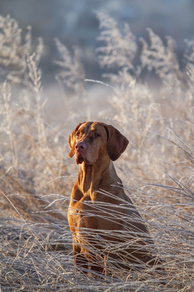Photograph by Эльнара Исаева