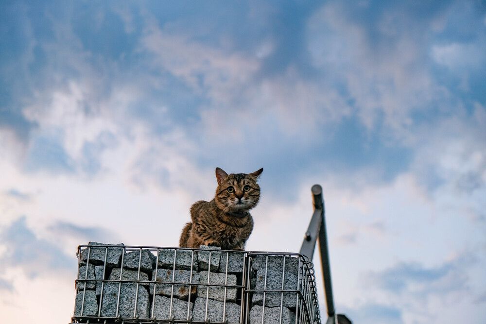Photograph by Альберт Габбасов