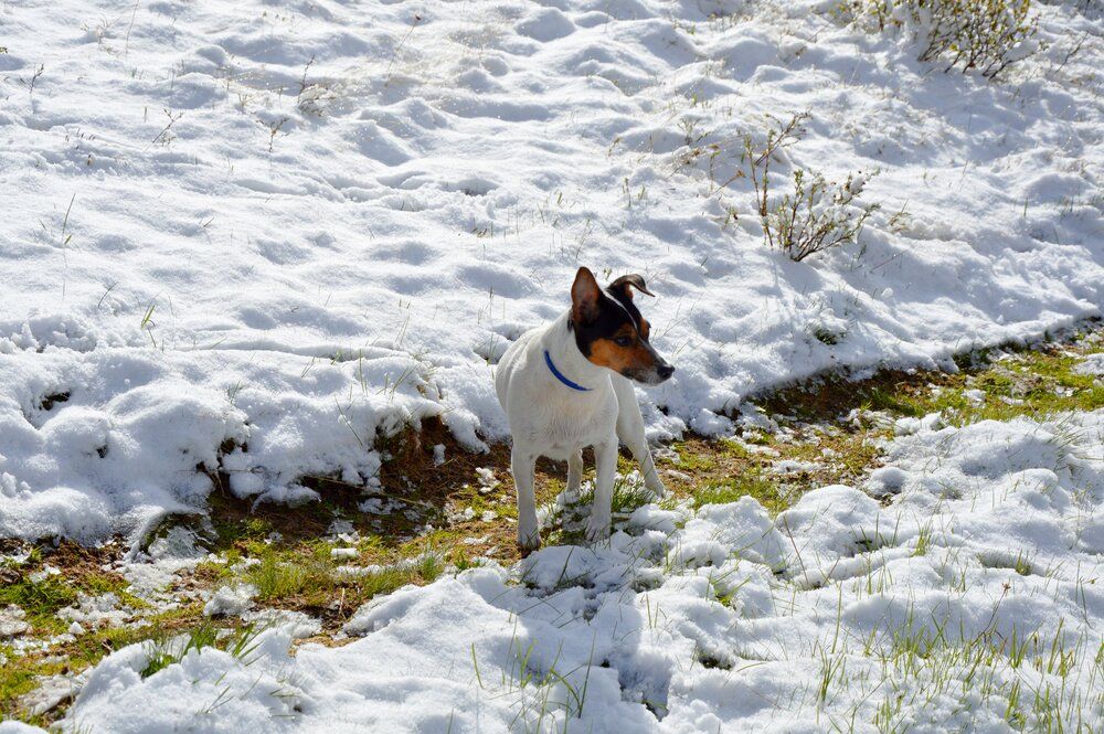 Photograph by Елена Савчук