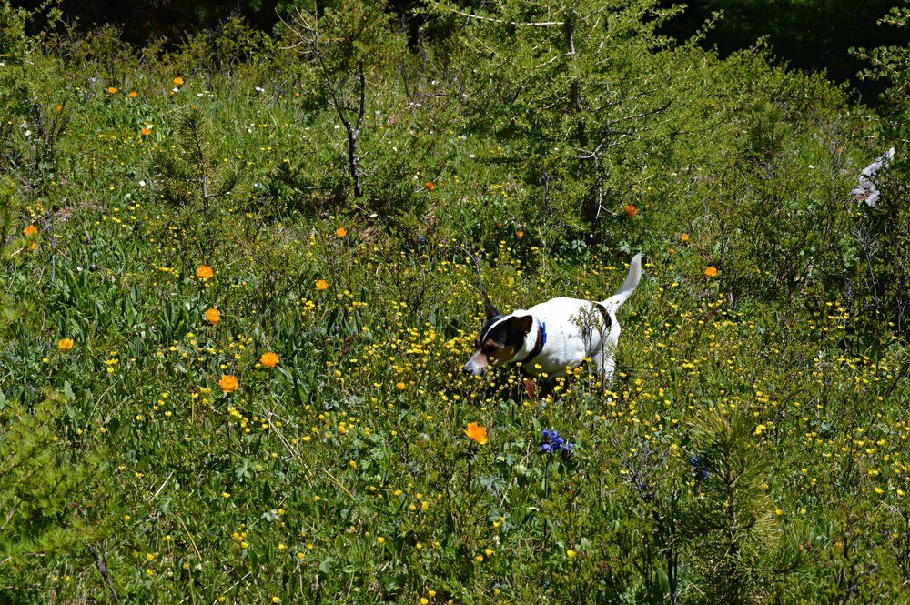 Photograph by Елена Савчук