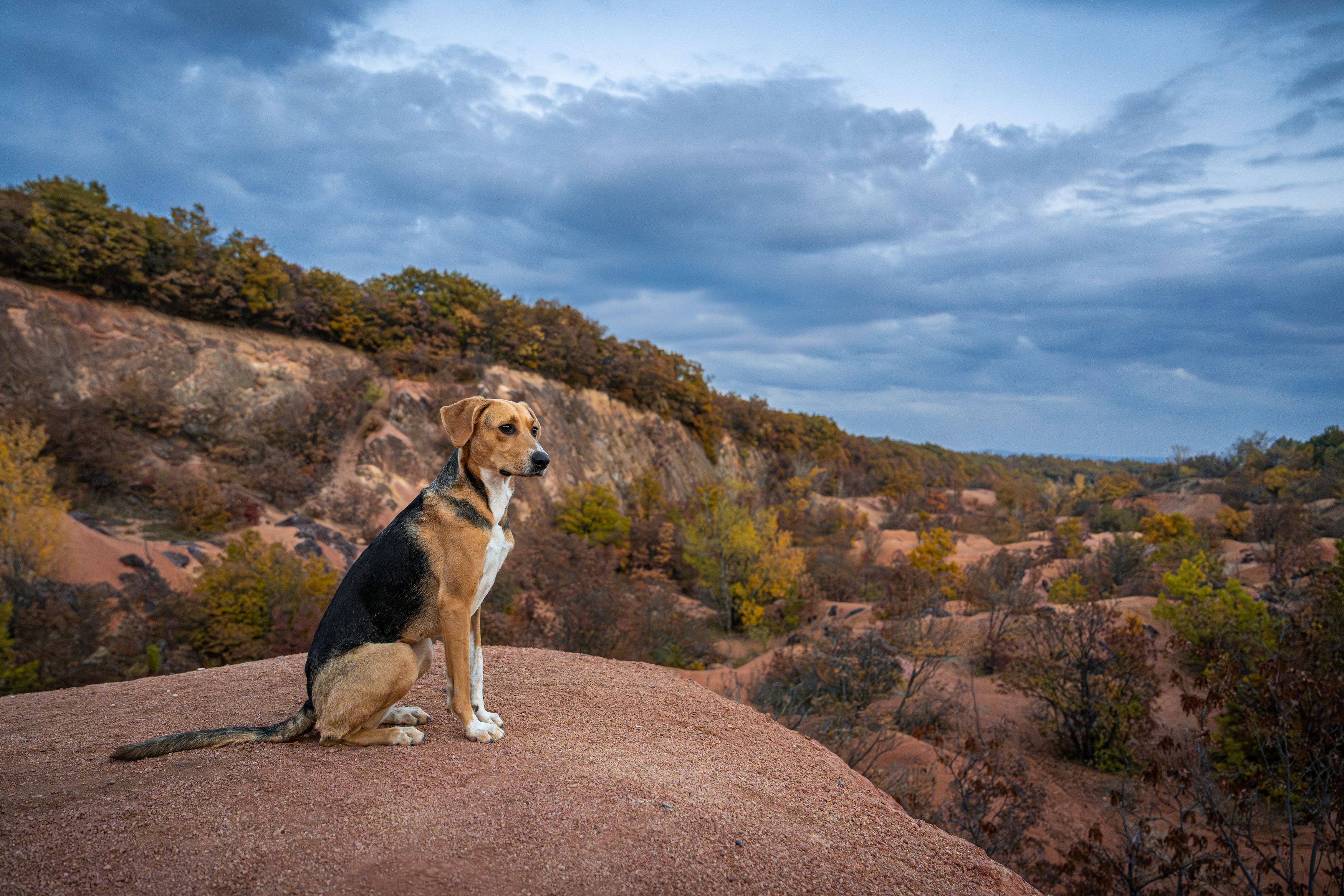 Фотография автора Krisztián Csalami