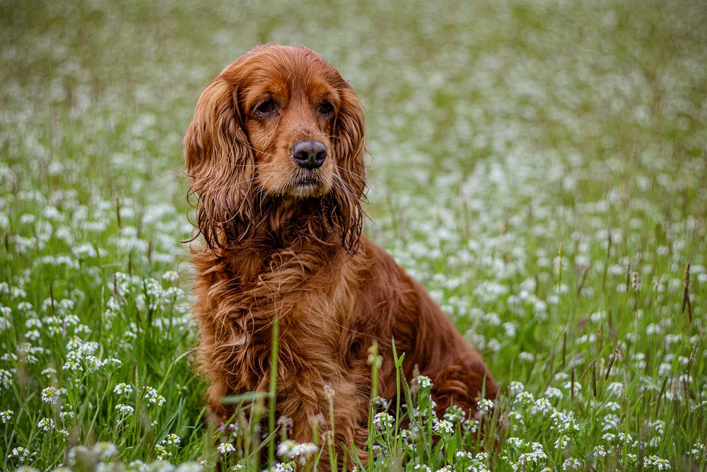 Photograph by Victoria Mogulyan