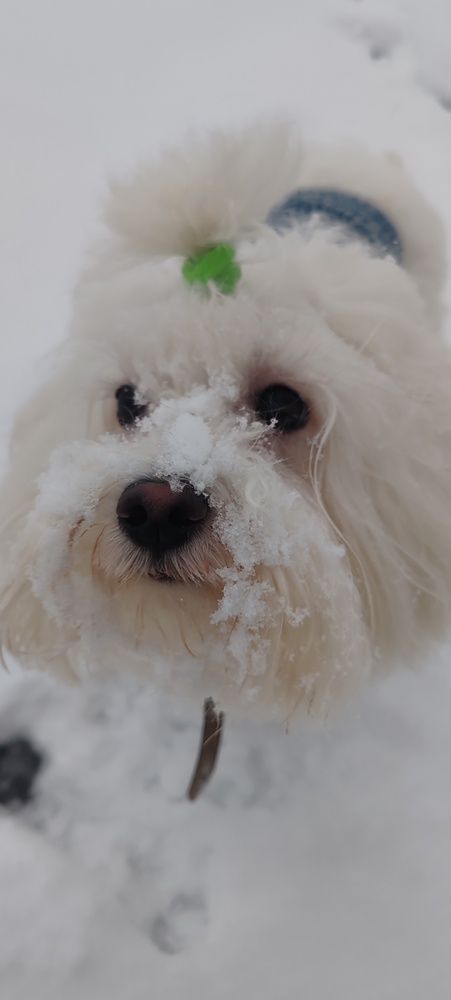 Photograph by Наталья Клячина