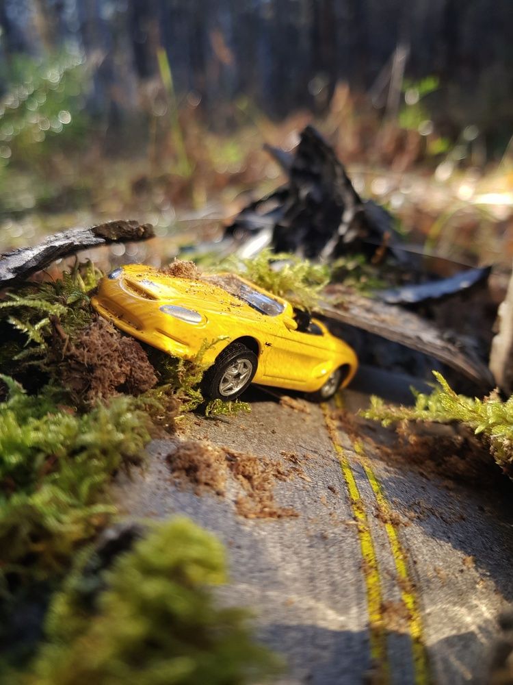 Photograph by Анастасия Петухова