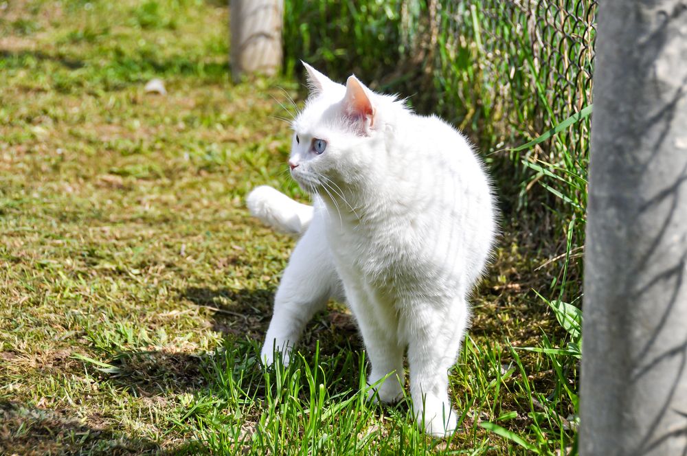 Фотография автора Елизавета Синицына