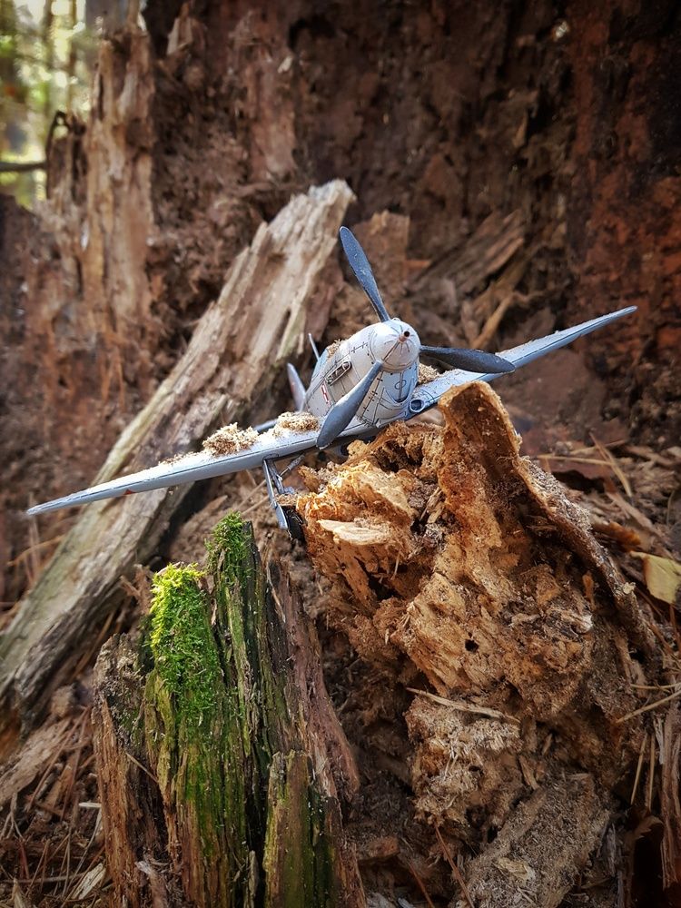 Photograph by Анастасия Петухова