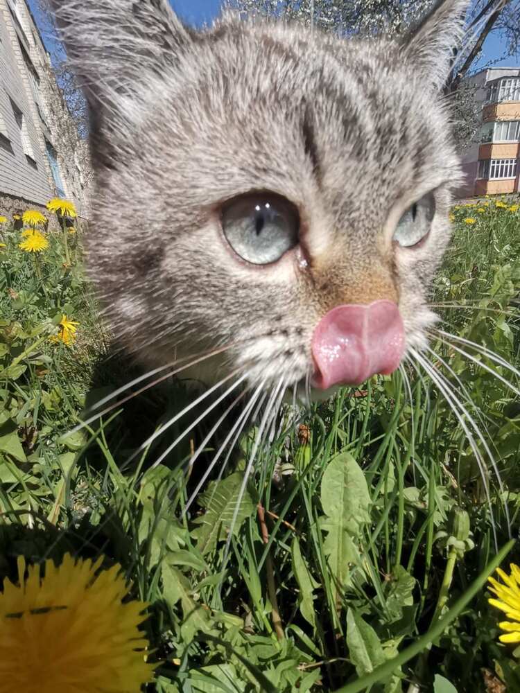 Photograph by Наталья Клячина