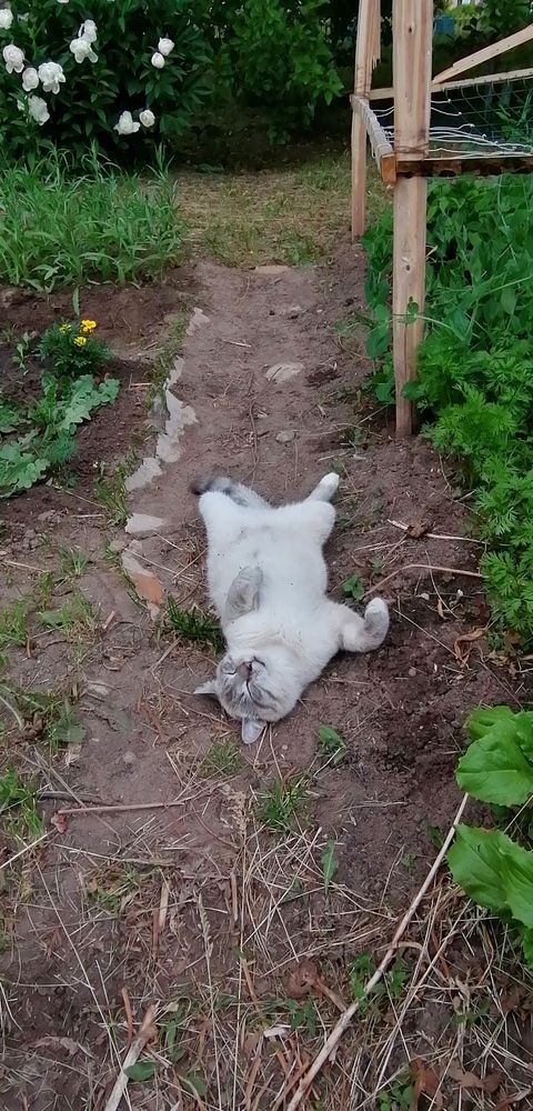 Photograph by Наталья Клячина