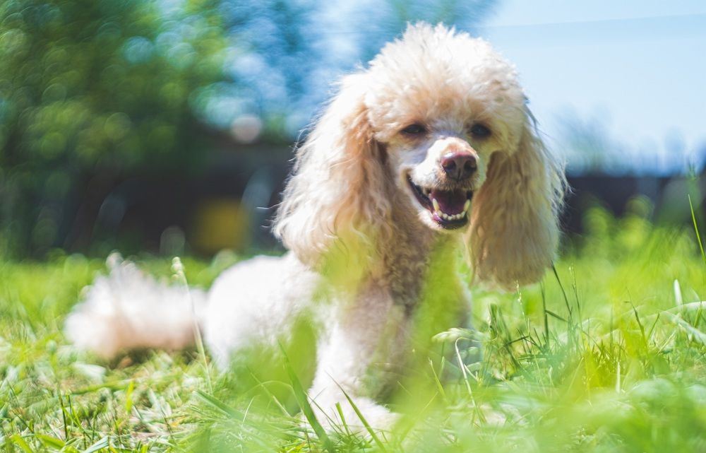 Photograph by Альберт Габбасов