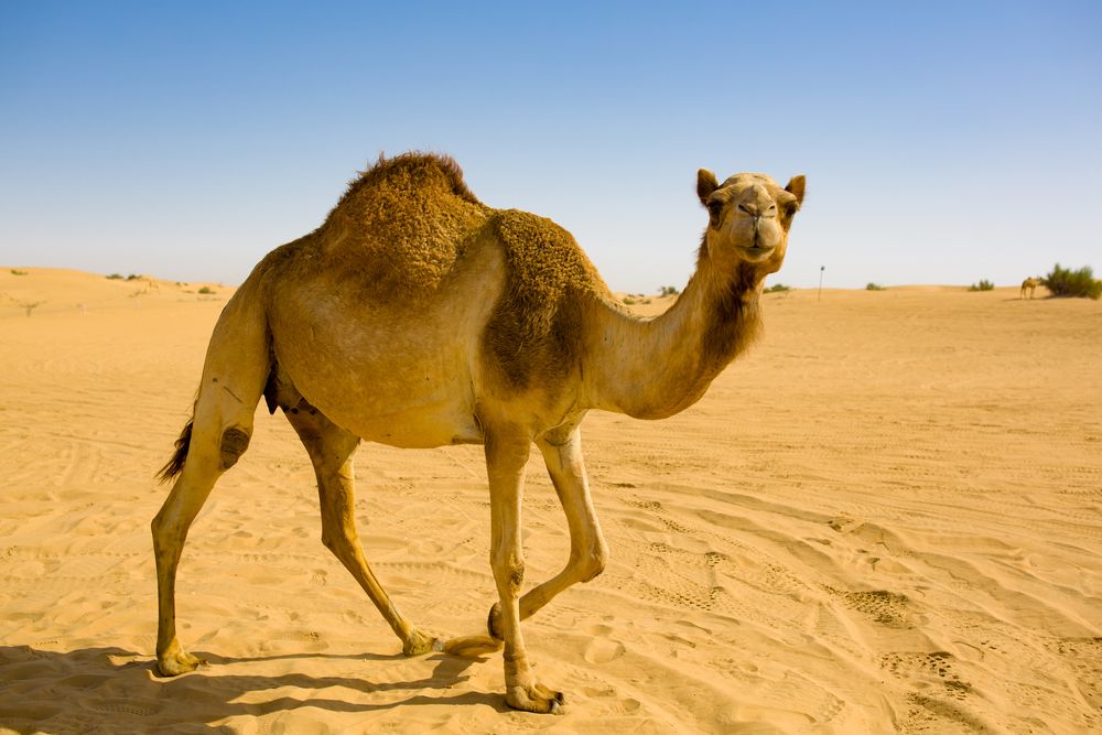 Photograph by Владимир Говоров