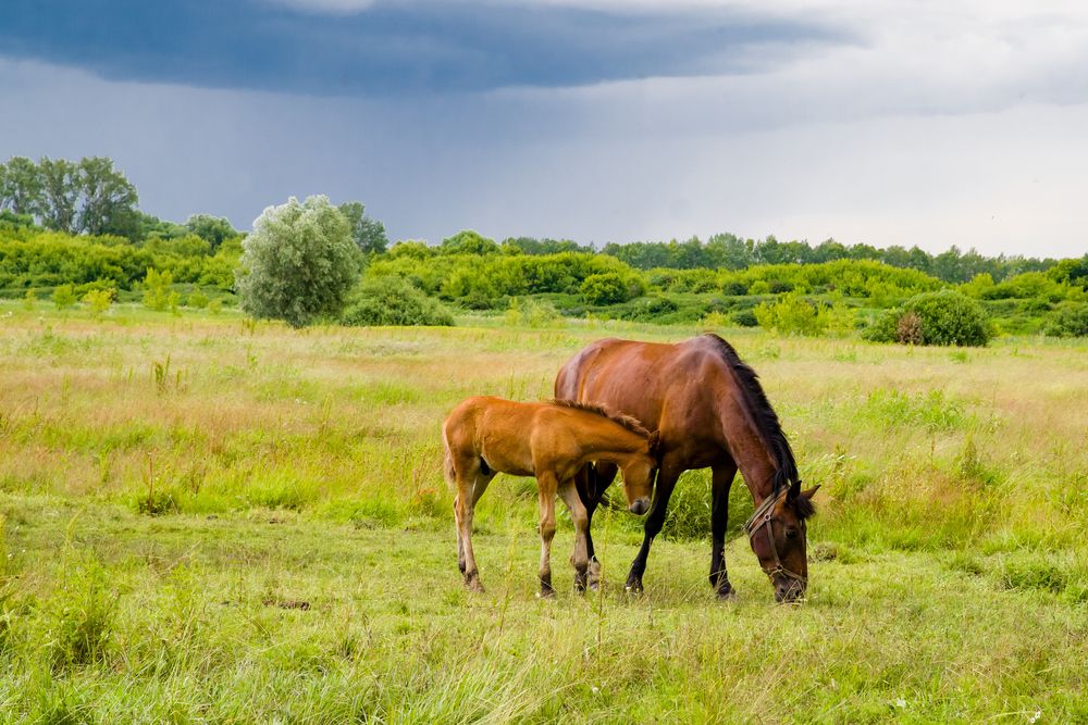 Photograph by Владимир Говоров