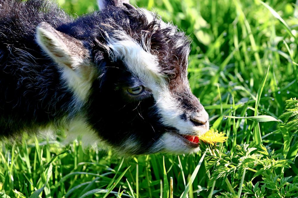 Photograph by Владимир Говоров