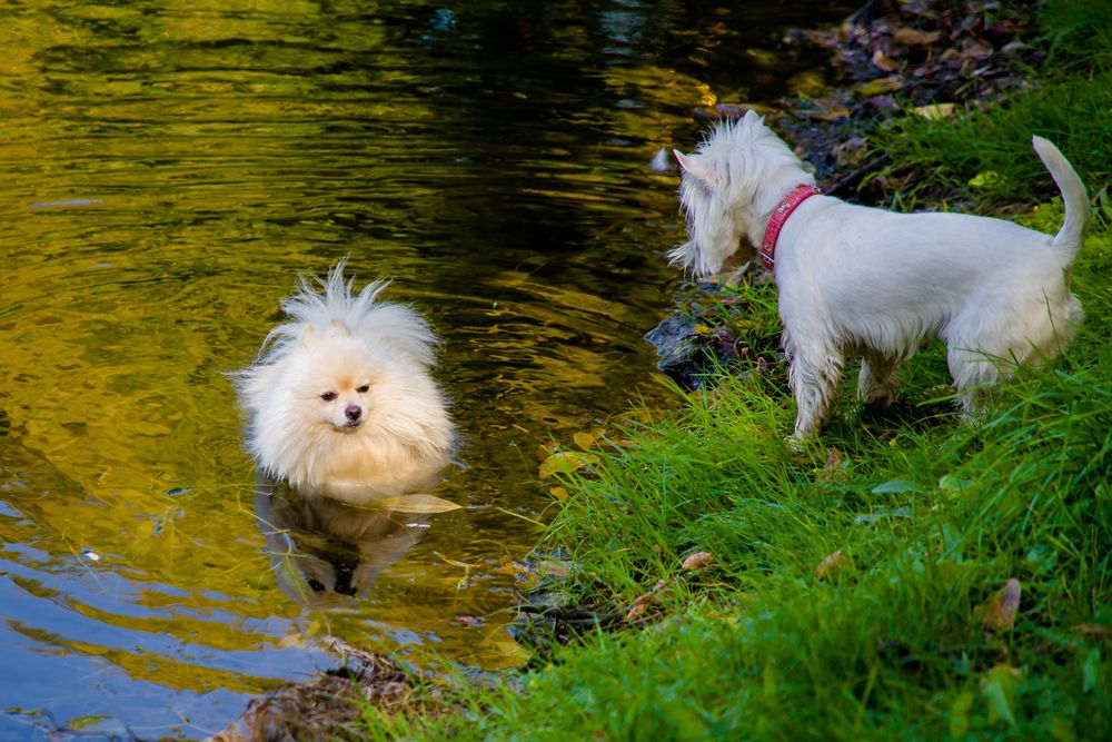 Photograph by Владимир Говоров