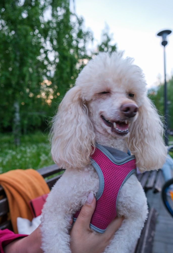 Photograph by Альберт Габбасов