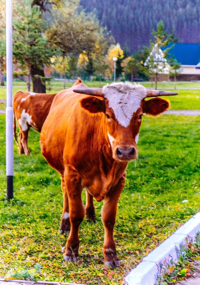 Photograph by Альберт Габбасов