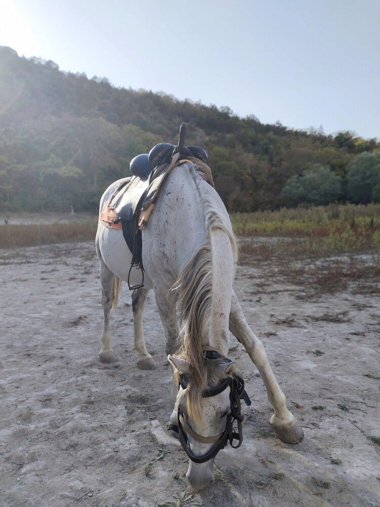 Photograph by Галина Бессуднова