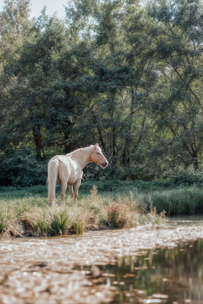 Photograph by Полина Ф