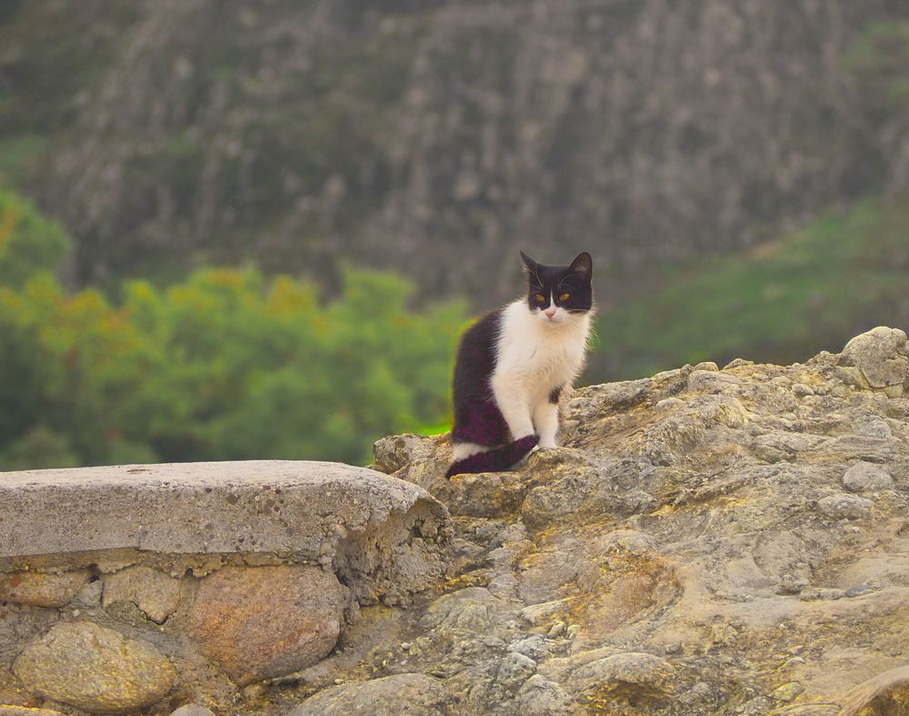 Photograph by Tatyana Markova