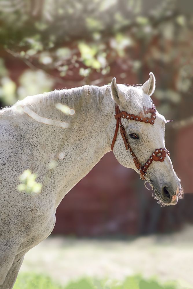 Photograph by Полина Ф